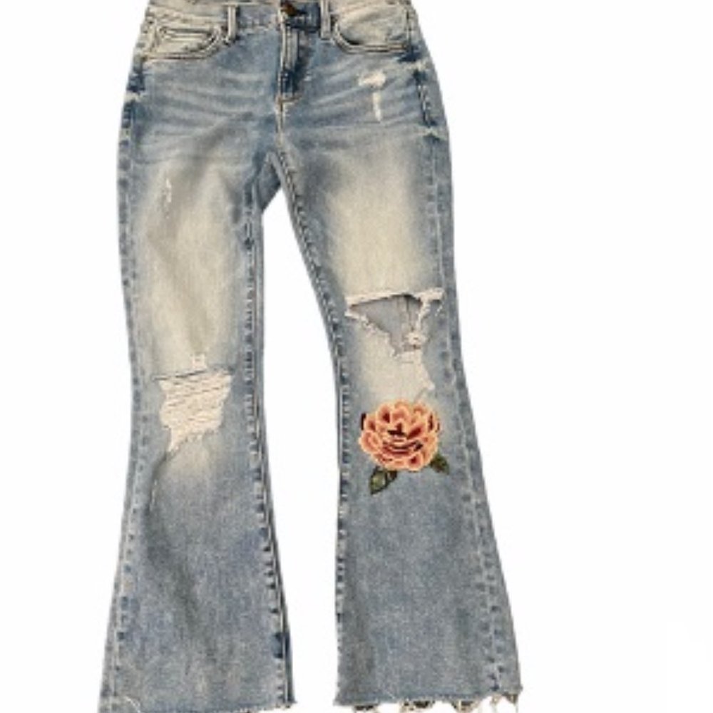 Driftwood Embroidered Hipster Floral Jeans